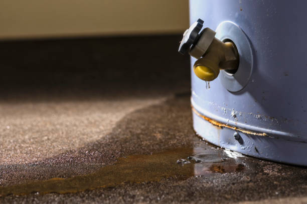 Best Sewage cleanup and water damage restoration  in Ellijay, GA