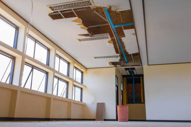  Ellijay, GA Water damage restoration Pros
