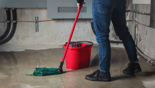 Best Basement water damage restoration  in Ellijay, GA