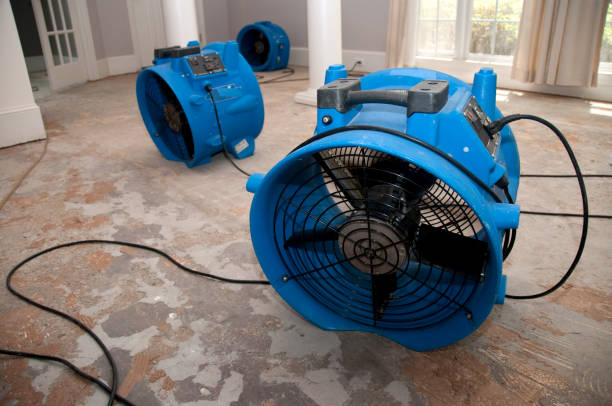 Best Water damage restoration near me  in Ellijay, GA