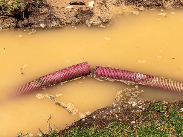 Best Water damage cleanup near me  in Ellijay, GA