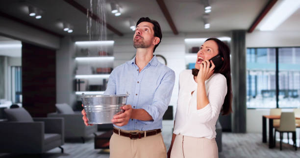 Best Flooded house restoration  in Ellijay, GA
